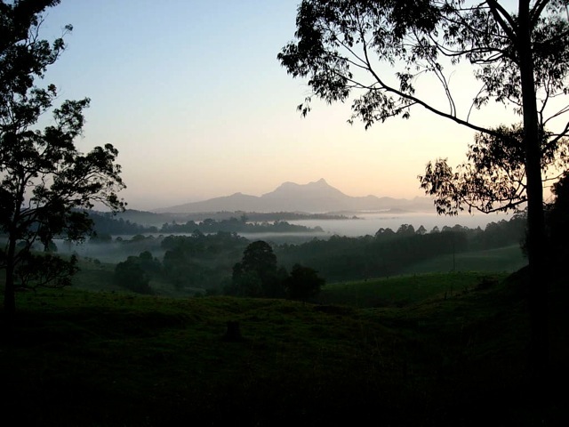 Jungle sunrise in Australia