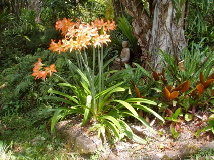 Buddha statue in the garden